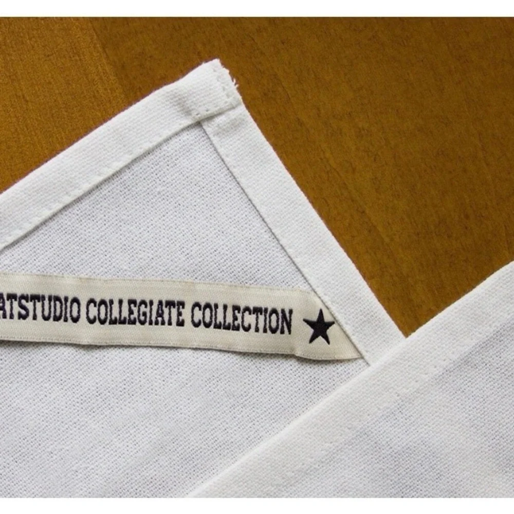 University of Iowa Collegiate Collection Dish/Hand/Bar Towel